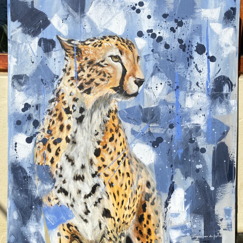 Cheetah Blue