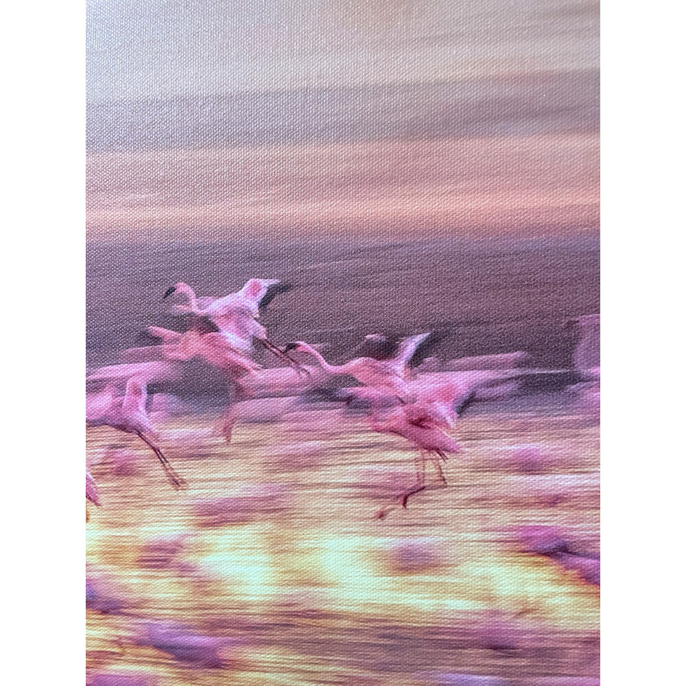 Pretty Flamingoes