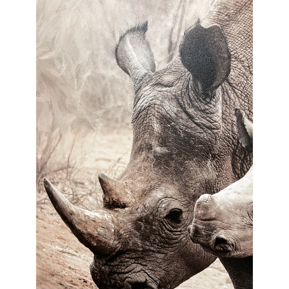 Rhino with Calf