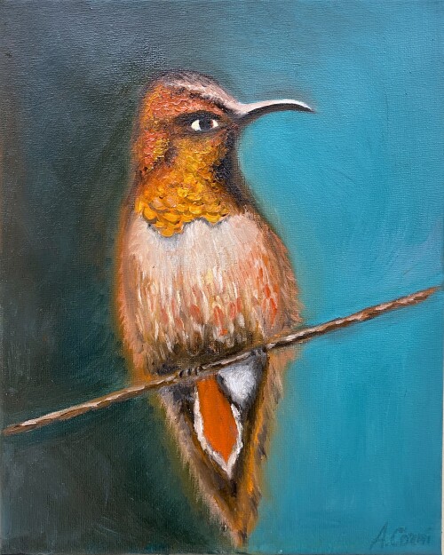 Kolibris Portrait