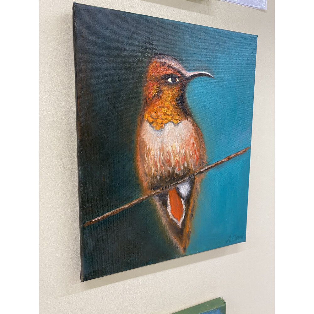 Kolibris Portrait