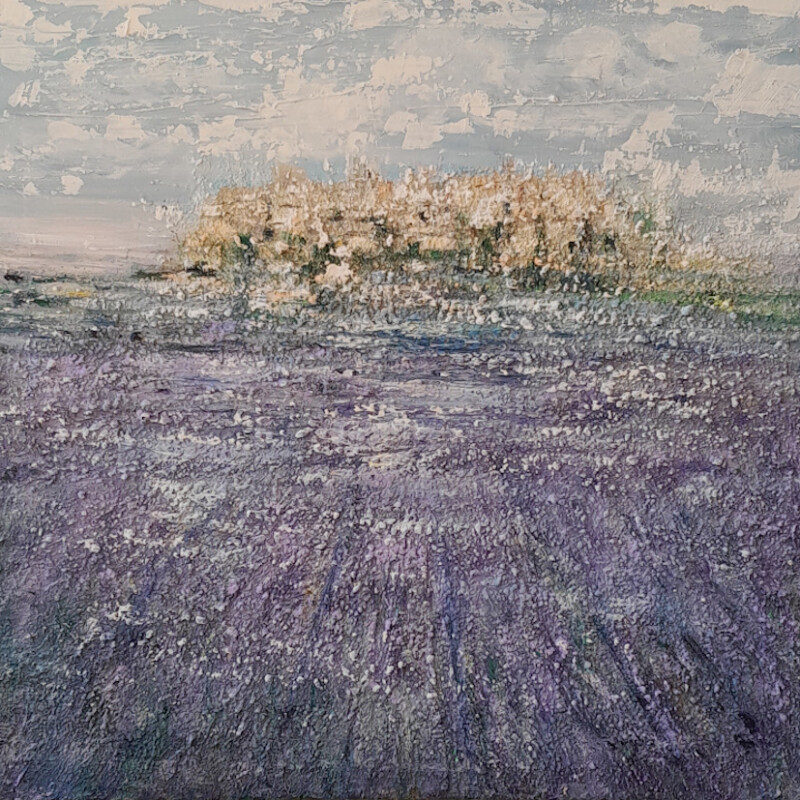 Provence Lavendelfeld